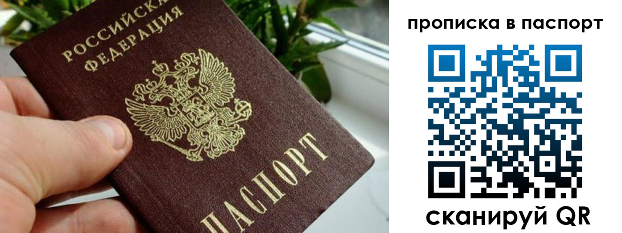 пропишу в квартире в Омске